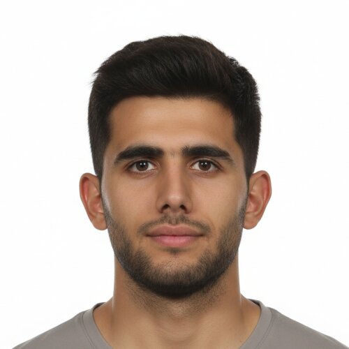 Mohammad Hosein Houpanah