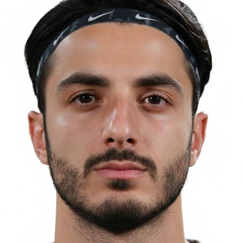 Mohammad Mahdi Lotfi