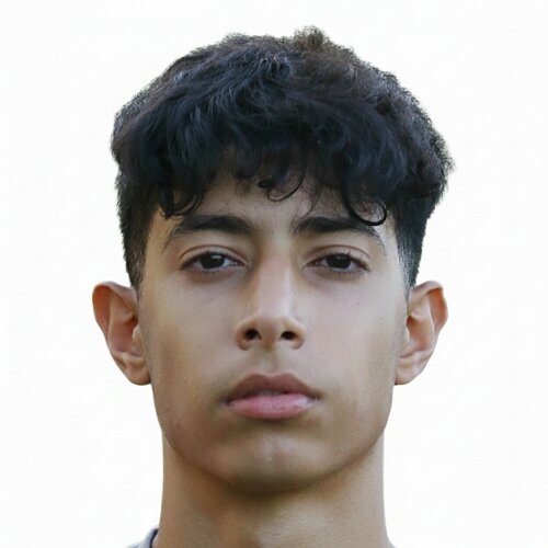 فربد شبرنگی