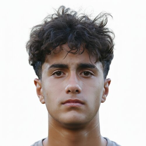 علی جلوخانی نیارکی