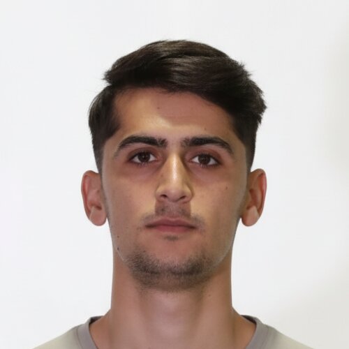 مهدی دینار یالقوز آغاج