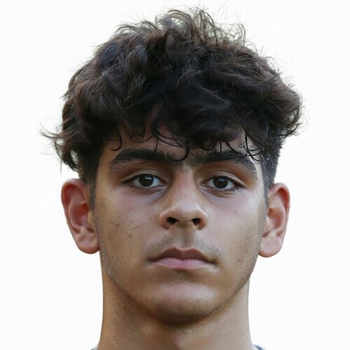 Mohammad Ehsan Akbari