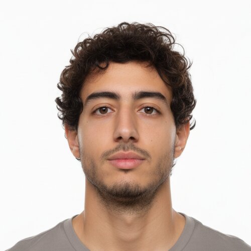 Mohamed Hany Eldemerdash