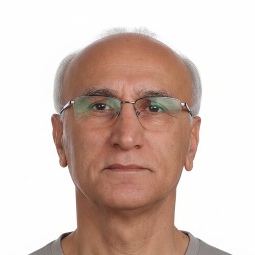 Hamidreza Mansouri