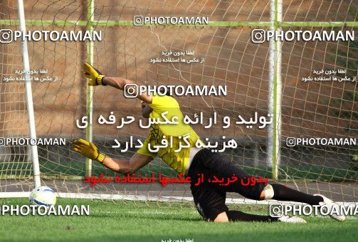 1030091, Tehran, , Persepolis Football Team Training Session on 2011/08/22 at Derafshifar Stadium