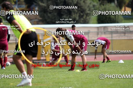 1032924, Tehran, , Persepolis Football Team Training Session on 2011/09/21 at Sanaye Defa Stadium