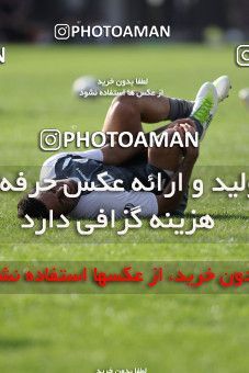 1033225, Tehran, Iran, Persepolis Football Team Training Session on 2011/09/24 at Derafshifar Stadium