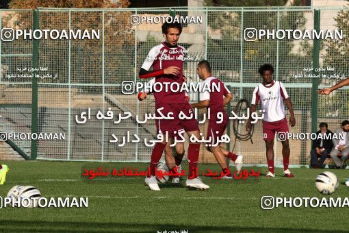 1043638, Tehran, , Persepolis Football Team Training Session on 2011/10/24 at Kheyrieh Amal Stadium