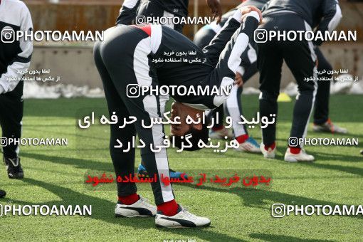 1046239, Tehran, , Persepolis Football Team Training Session on 2011/11/12 at Derafshifar Stadium