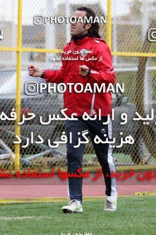 1046304, Tehran, , Persepolis Football Team Training Session on 2011/11/13 at Derafshifar Stadium