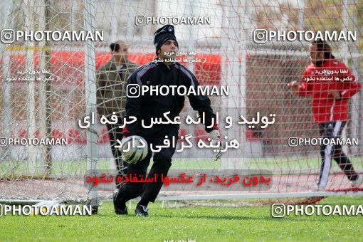 1046285, Tehran, , Persepolis Football Team Training Session on 2011/11/13 at Derafshifar Stadium