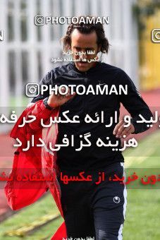 1046309, Tehran, , Persepolis Football Team Training Session on 2011/11/13 at Derafshifar Stadium
