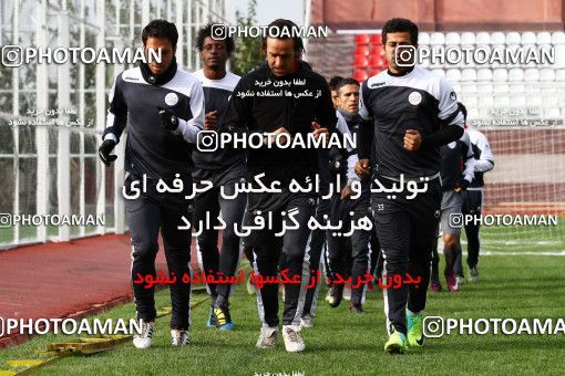 1046416, Tehran, , Persepolis Football Team Training Session on 2011/11/15 at Derafshifar Stadium