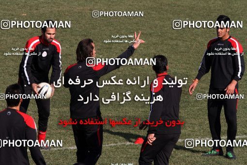 1050954, Tehran, , Persepolis Football Team Training Session on 2012/01/08 at Derafshifar Stadium