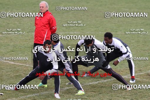 1053881, Tehran, , Persepolis Football Team Training Session on 2012/02/04 at Derafshifar Stadium