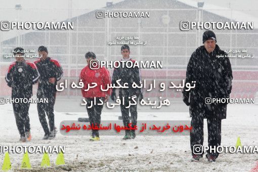 1054514, Tehran, , Persepolis Football Team Training Session on 2012/02/08 at Derafshifar Stadium
