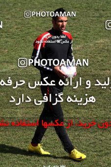 1055523, Tehran, , Persepolis Football Team Training Session on 2012/02/20 at Derafshifar Stadium