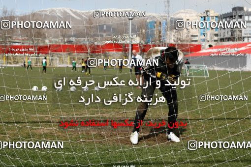 1055501, Tehran, , Persepolis Football Team Training Session on 2012/02/20 at Derafshifar Stadium