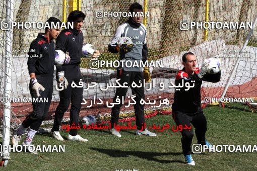 1055591, Tehran, , Persepolis Football Team Training Session on 2012/02/21 at Derafshifar Stadium