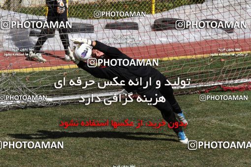 1055542, Tehran, , Persepolis Football Team Training Session on 2012/02/21 at Derafshifar Stadium