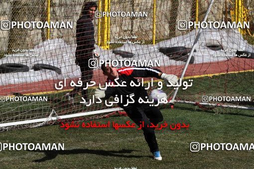 1055597, Tehran, , Persepolis Football Team Training Session on 2012/02/21 at Derafshifar Stadium