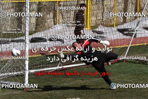 1055567, Tehran, , Persepolis Football Team Training Session on 2012/02/21 at Derafshifar Stadium
