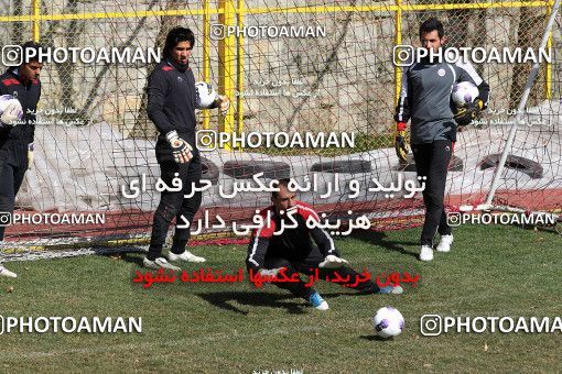 1055660, Tehran, , Persepolis Football Team Training Session on 2012/02/21 at Derafshifar Stadium