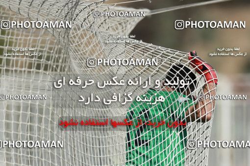 1085971, Tehran, [*parameter:4*], لیگ برتر فوتبال ایران، Persian Gulf Cup، Week 26، Second Leg، Naft Tehran 1 v 2 Esteghlal on 2018/03/29 at Takhti Stadium