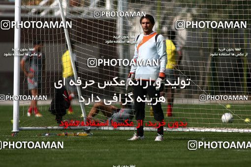 1090835, Tehran, , Persepolis Football Team Training Session on 2010/10/31 at Derafshifar Stadium