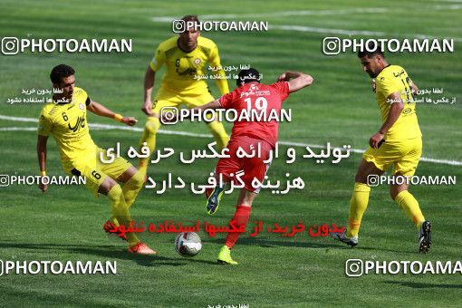 1128004, لیگ برتر فوتبال ایران، Persian Gulf Cup، Week 28، Second Leg، 2018/04/13، Tehran، Takhti Stadium، Naft Tehran 0 - ۱ Padideh Mashhad