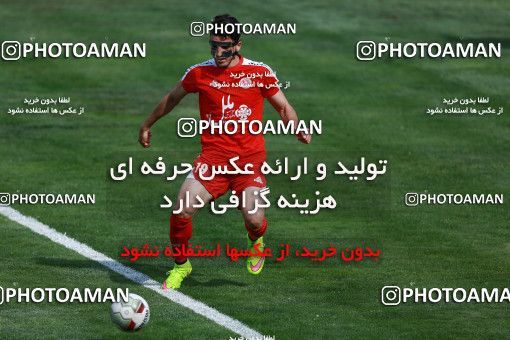 1127840, لیگ برتر فوتبال ایران، Persian Gulf Cup، Week 28، Second Leg، 2018/04/13، Tehran، Takhti Stadium، Naft Tehran 0 - ۱ Padideh Mashhad