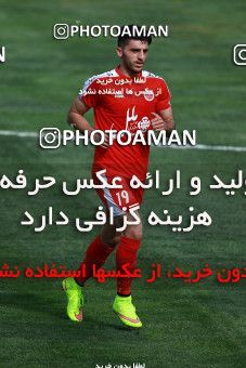 1127966, لیگ برتر فوتبال ایران، Persian Gulf Cup، Week 28، Second Leg، 2018/04/13، Tehran، Takhti Stadium، Naft Tehran 0 - ۱ Padideh Mashhad