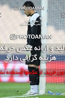 1161888, Tehran, , جام حذفی فوتبال ایران, Eighth final, , Esteghlal 1 v 0 Shahin Boushehr on 2010/11/20 at Azadi Stadium