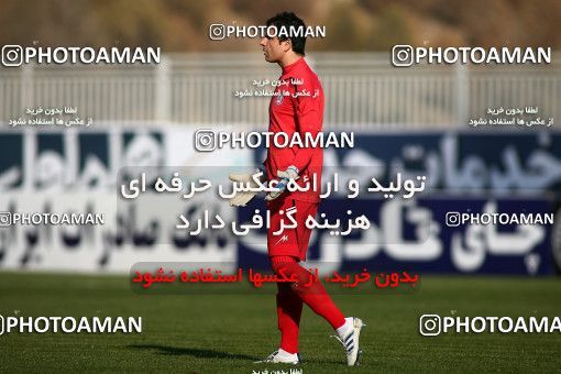 1109009, Tehran, [*parameter:4*], Iran Pro League، Persian Gulf Cup، 2010-11 season، First Leg، Week 17، Naft Tehran 2 v 2 Shahin Boushehr on 2010/12/04 at Takhti Stadium