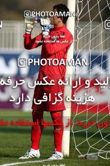 1108957, Tehran, [*parameter:4*], Iran Pro League، Persian Gulf Cup، 2010-11 season، First Leg، Week 17، Naft Tehran 2 v 2 Shahin Boushehr on 2010/12/04 at Takhti Stadium