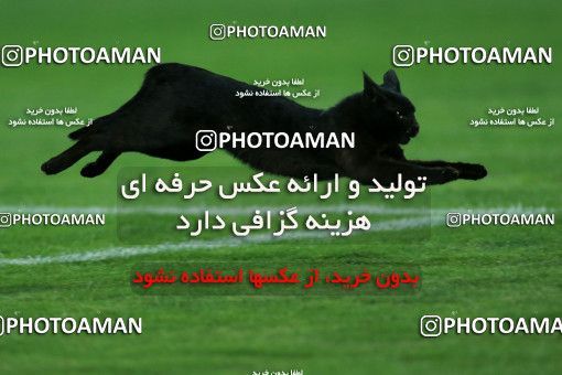 1130394, Tehran, , International friendly match، Iran 1 - 0 Uzbekistan on 2018/05/19 at Azadi Stadium