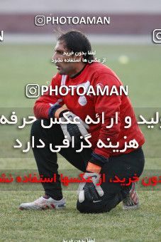 1169924, Tehran, , Persepolis Football Team Training Session on 2011/01/29 at Derafshifar Stadium