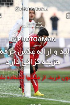 1170689, Tehran, [*parameter:4*], Iran Pro League، Persian Gulf Cup، 2010-11 season، Second Leg، Week 21، Persepolis 2 v ۰ Sanat Naft Abadan on 2011/02/05 at Azadi Stadium