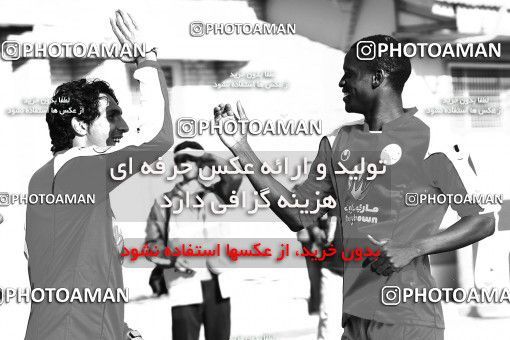 1230193, Qazvin, , لیگ برتر فوتبال ایران، Persian Gulf Cup، Week 15، First Leg، Paykan 2 v 2 Persepolis on 2008/11/22 at Shahid Rajai Stadium