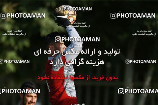 1265481, Tehran, , Iran U-21 National Football Team Training Session on 2018/07/08 at Iran National Football Center