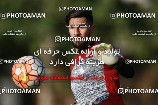 1265431, Tehran, , Iran U-21 National Football Team Training Session on 2018/07/08 at Iran National Football Center