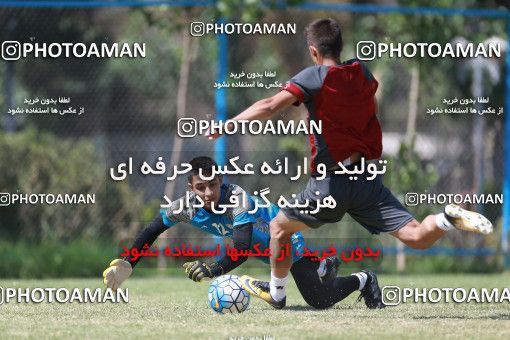1266417, Tehran, , Iran U-17 National Football Team Training Session on 2018/09/13 at Alyaf Stadium