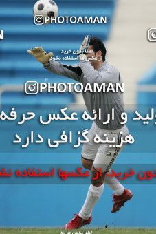 1318208, Tehran, Iran, لیگ برتر فوتبال ایران، Persian Gulf Cup، Week 24، Second Leg، Rah Ahan 1 v 0 Damash Gilan on 2009/01/30 at Ekbatan Stadium