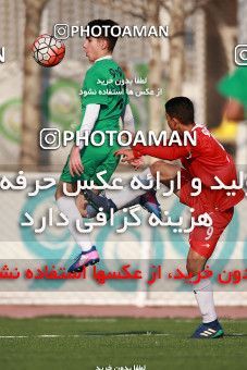 1363818, Tehran, , Iran U-17 National Football Team  on 2019/02/05 at Iran National Football Center