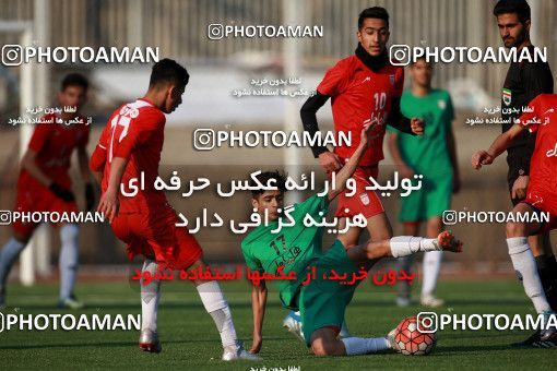 1363667, Tehran, , Iran U-17 National Football Team  on 2019/02/05 at Iran National Football Center