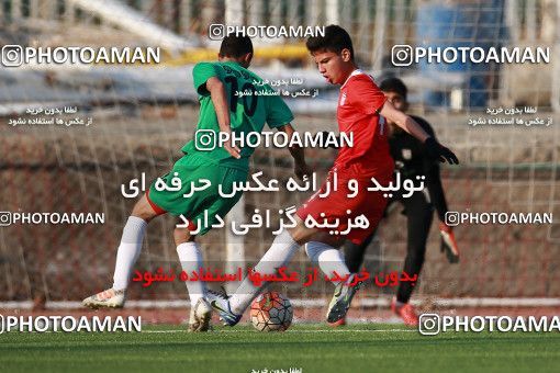 1363833, Tehran, , Iran U-17 National Football Team  on 2019/02/05 at Iran National Football Center
