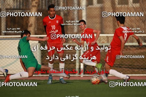 1363959, Tehran, , Iran U-17 National Football Team  on 2019/02/05 at Iran National Football Center