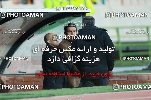 1369036, Tehran, , لیگ برتر فوتبال ایران، Persian Gulf Cup، Week 16، Second Leg، Persepolis 2 v 0 Padideh Mashhad on 2019/02/06 at Azadi Stadium