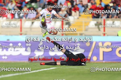 1446653, Tabriz, , لیگ برتر فوتبال ایران، Persian Gulf Cup، Week 28، Second Leg، Tractor Sazi 1 v 1 Persepolis on 2019/05/01 at Yadegar-e Emam Stadium