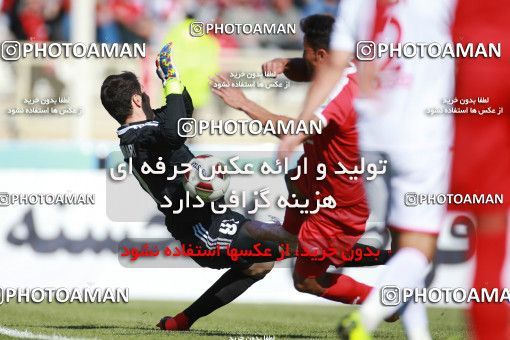 1399648, Tabriz, , لیگ برتر فوتبال ایران، Persian Gulf Cup، Week 28، Second Leg، Tractor Sazi 1 v 1 Persepolis on 2019/05/01 at Yadegar-e Emam Stadium